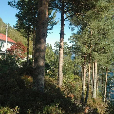 8 Person In Eidsvag-by Traum *